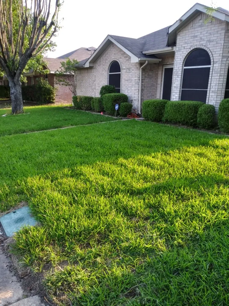 Reliable lawn care service with custom design in DeSoto, TX by Wita Lawn Services