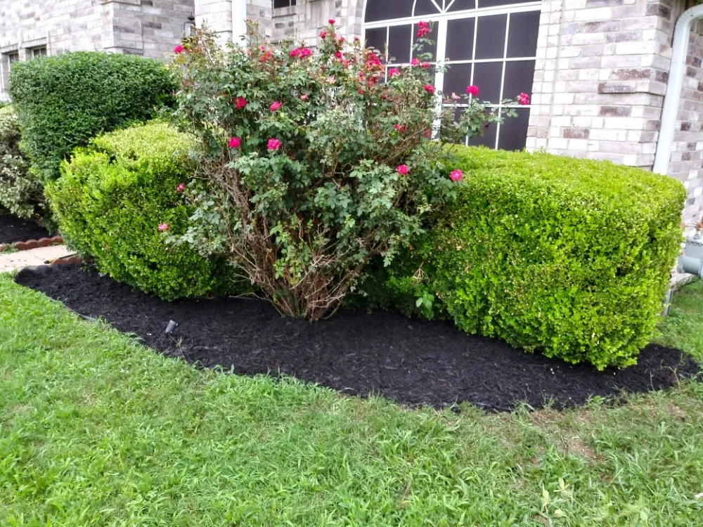 Professional yard cleanup service for year-round maintenance in DeSoto, TX by Wita Lawn Services
