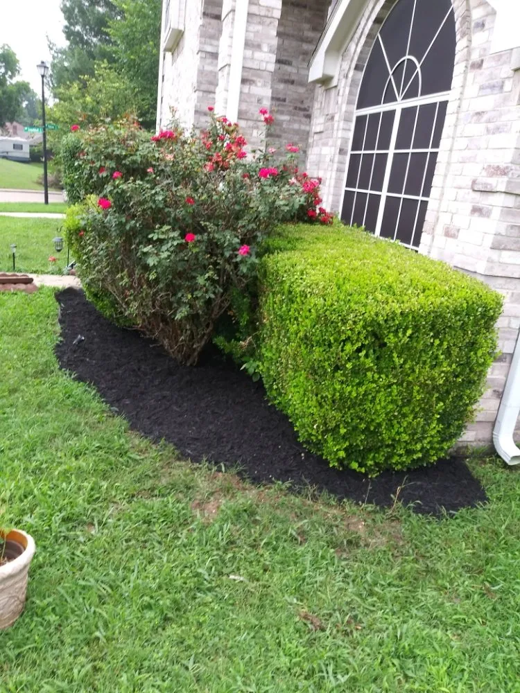 Trusted landscape design in DeSoto, TX by Wita Lawn Services