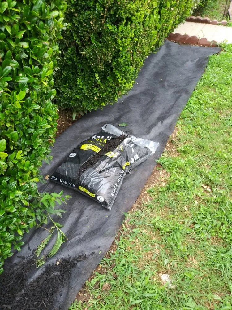 Affordable landscaping services in DeSoto, TX - Wita Lawn Services