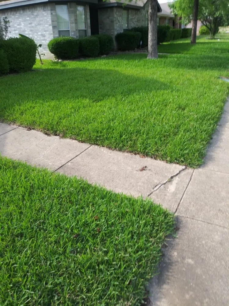 Top-rated outdoor landscaping experts serving DeSoto, TX - Wita Lawn Services