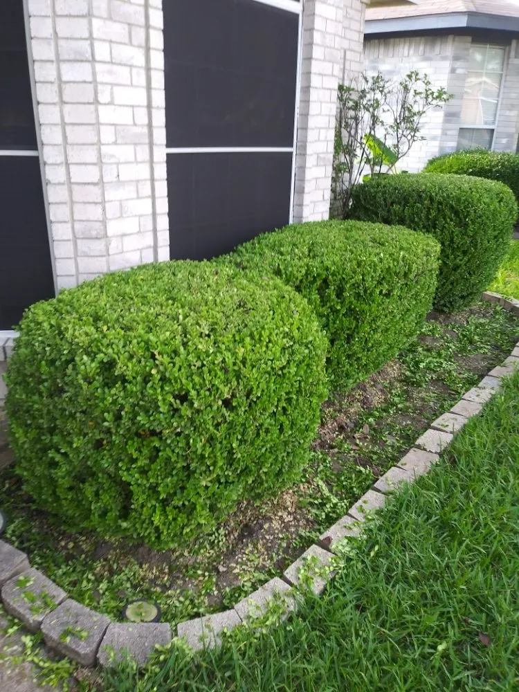 Expert landscape installation for homes across DeSoto, TX - Wita Lawn Services