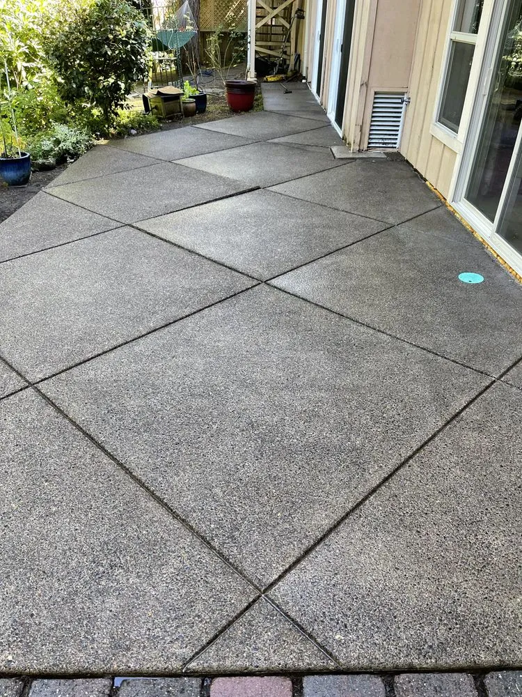 Professional yard cleanup service in Eugene, OR - Witcraft Pressure Washing