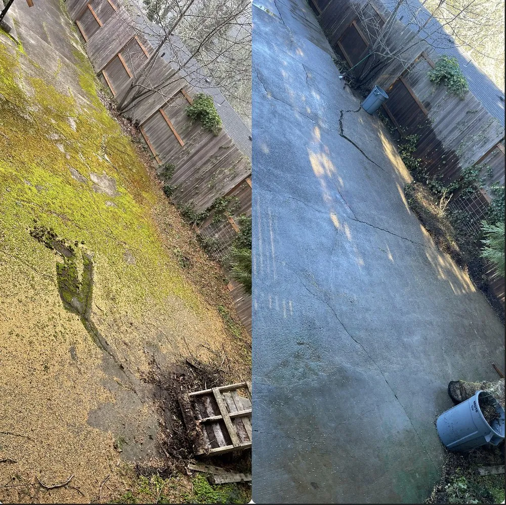 Local yard maintenance in Eugene, OR - Witcraft Pressure Washing
