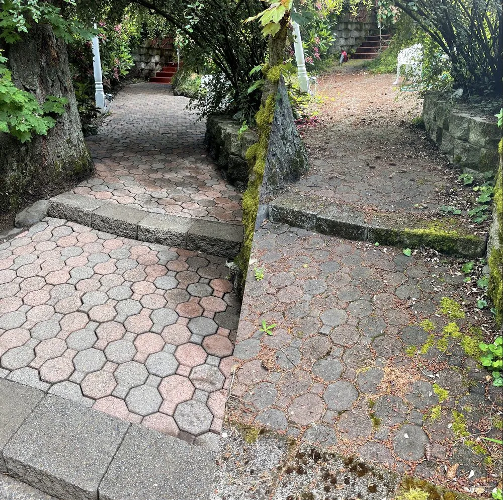 Local lawn mowing service in Eugene, OR - Witcraft Pressure Washing