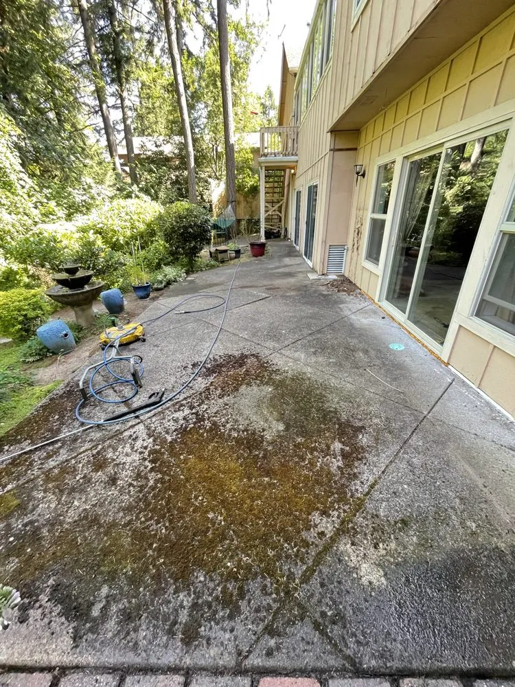 Professional yard maintenance for homes across Eugene, OR - Witcraft Pressure Washing