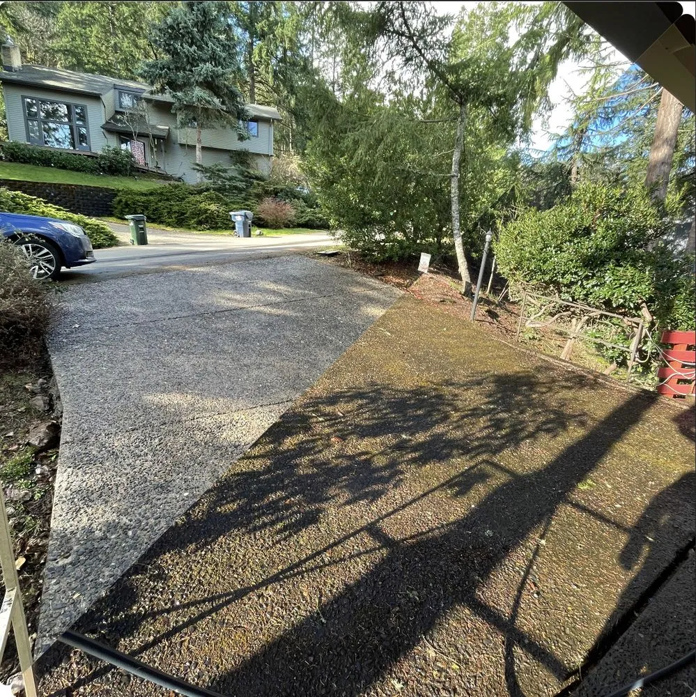 Expert lawn care service experts serving Eugene, OR - Witcraft Pressure Washing