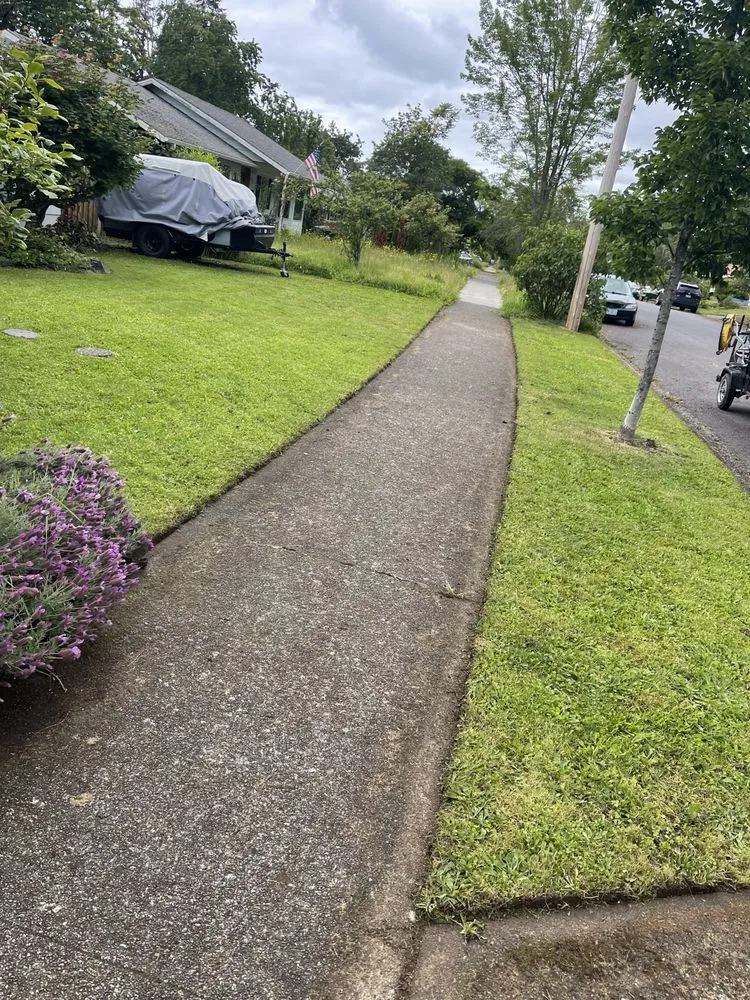 Expert landscape design for homes across Eugene, OR - Witcraft Pressure Washing