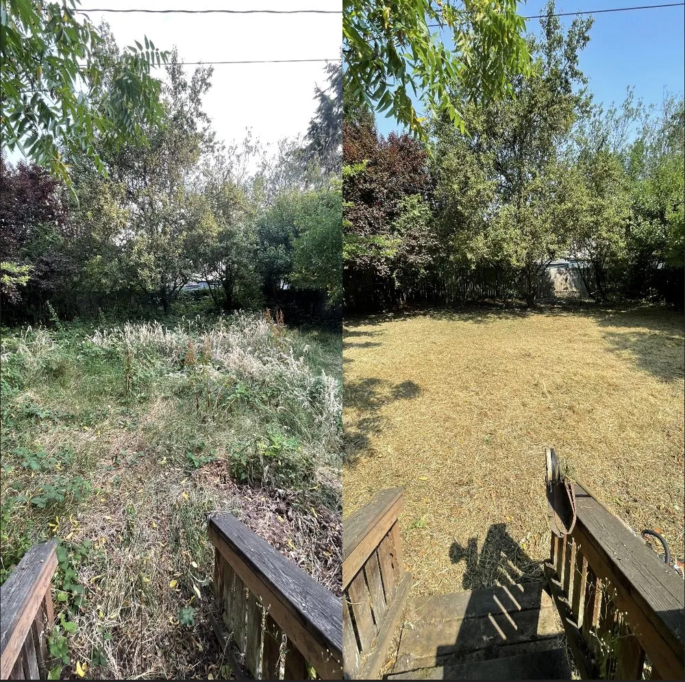 Top-rated outdoor landscaping near you in Eugene, OR by Witcraft Pressure Washing