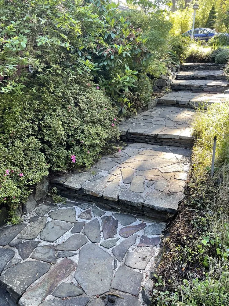 Top-rated landscaping services in Eugene, OR - Witcraft Pressure Washing