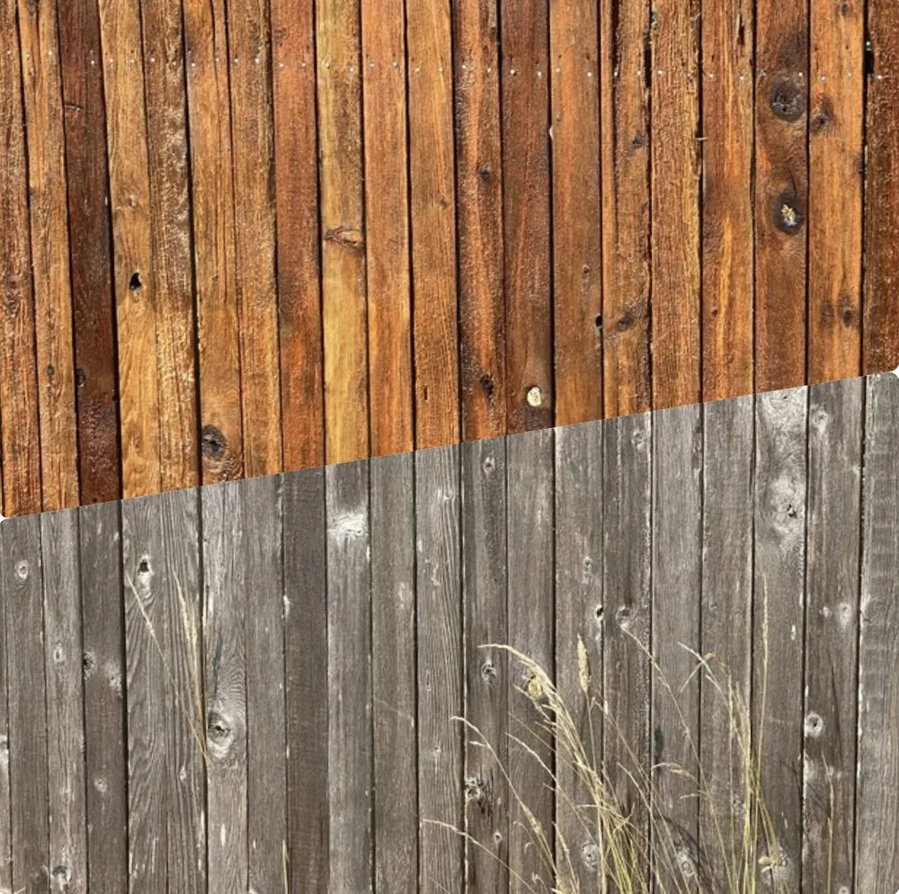 Professional lawn care service experts serving Eugene, OR - Witcraft Pressure Washing