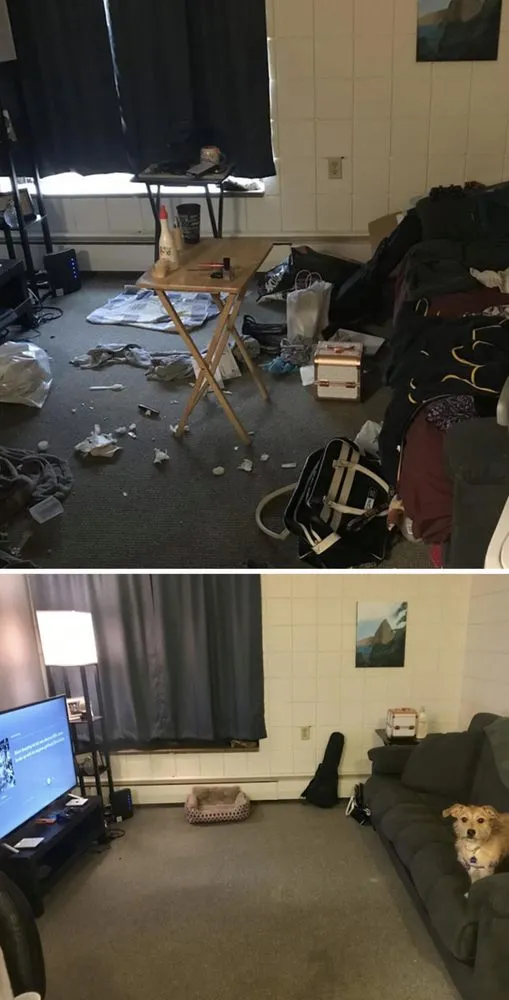 Affordable landscaping services in Baltimore, MD - With Every Breath Cleaning & Services