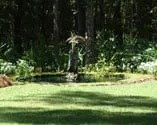 Expert yard cleanup service for homes in Albany, GA by With Perfection Inc Landscape Management