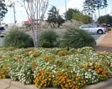 Reliable landscape installation in Albany, GA - With Perfection Inc Landscape Management