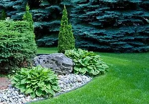 Professional landscape design near you across Albany, GA - With Perfection Inc Landscape Management
