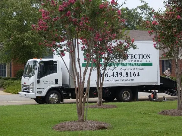 Top-rated lawn care service for year-round maintenance across Albany, GA - With Perfection Inc Landscape Management