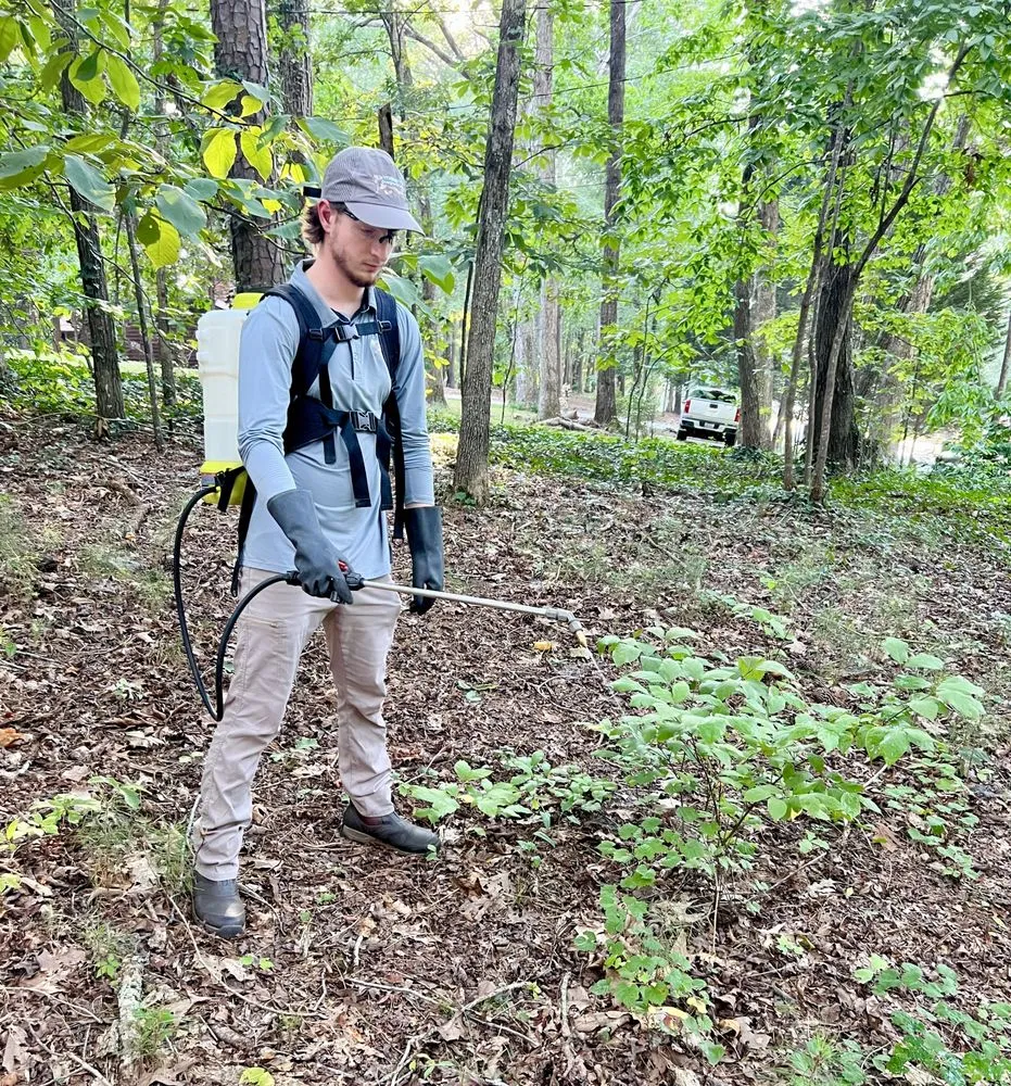 Affordable landscape installation for outdoor upgrades across Kennesaw, GA - Withered Vines