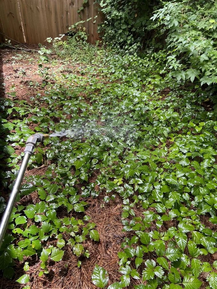 Custom lawn care service experts serving Kennesaw, GA - Withered Vines