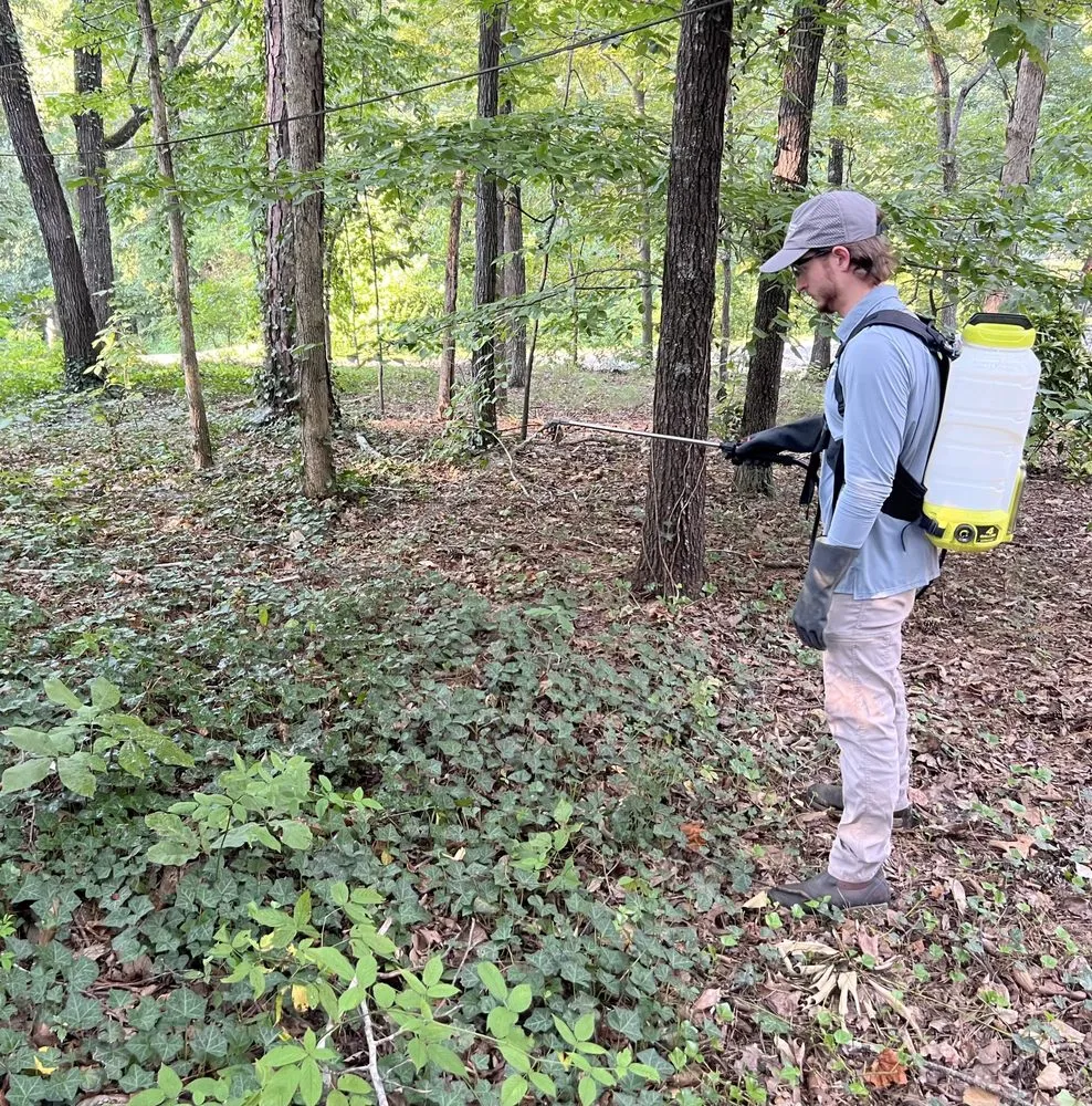 Local yard maintenance experts serving Kennesaw, GA - Withered Vines