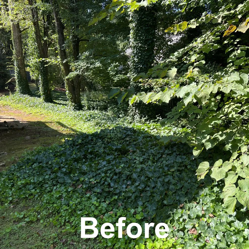 Reliable yard maintenance in Kennesaw, GA by Withered Vines