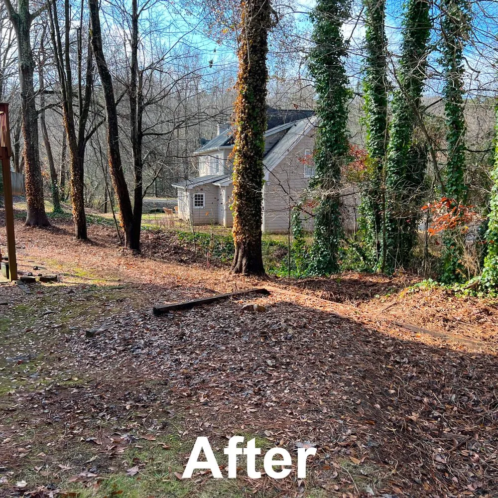 Expert lawn mowing service near you in Kennesaw, GA by Withered Vines