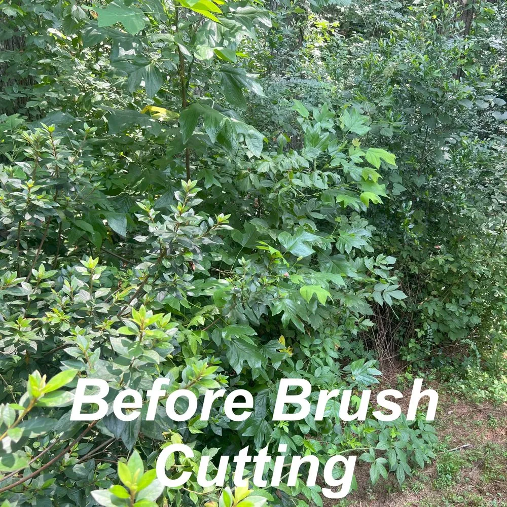 Professional yard cleanup service for outdoor upgrades in Kennesaw, GA by Withered Vines