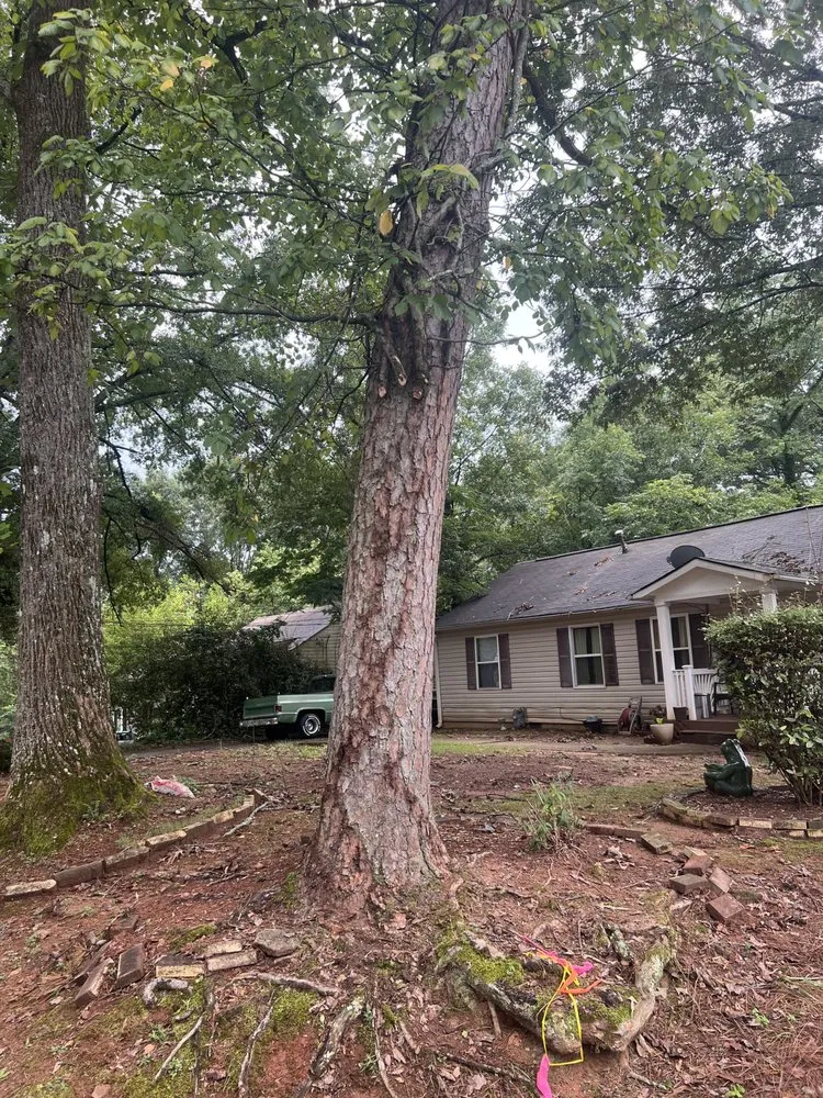 Trusted garden landscaping experts serving Kennesaw, GA - Withered Vines