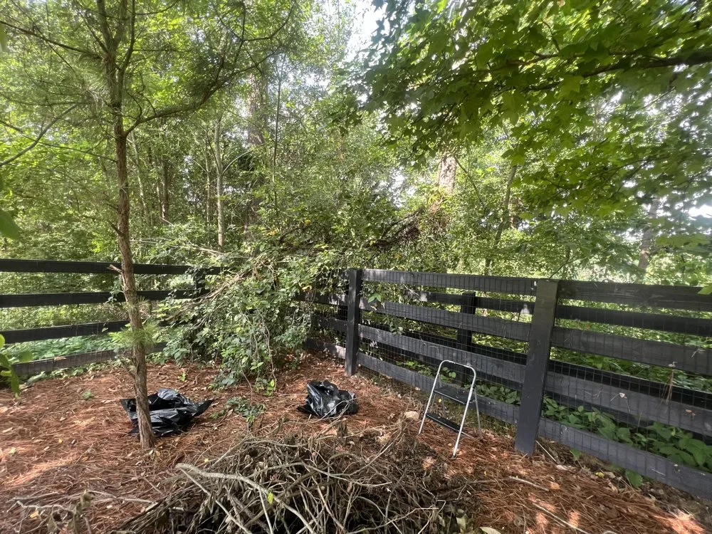 Top-rated lawn mowing service experts serving Kennesaw, GA - Withered Vines