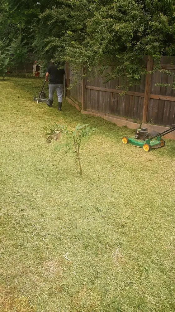 Custom lawn mowing service in Ruffin, NC - Withers and Associates Maintenance