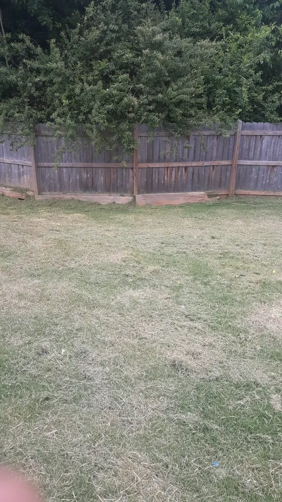 Local lawn care service with custom design across Ruffin, NC - Withers and Associates Maintenance