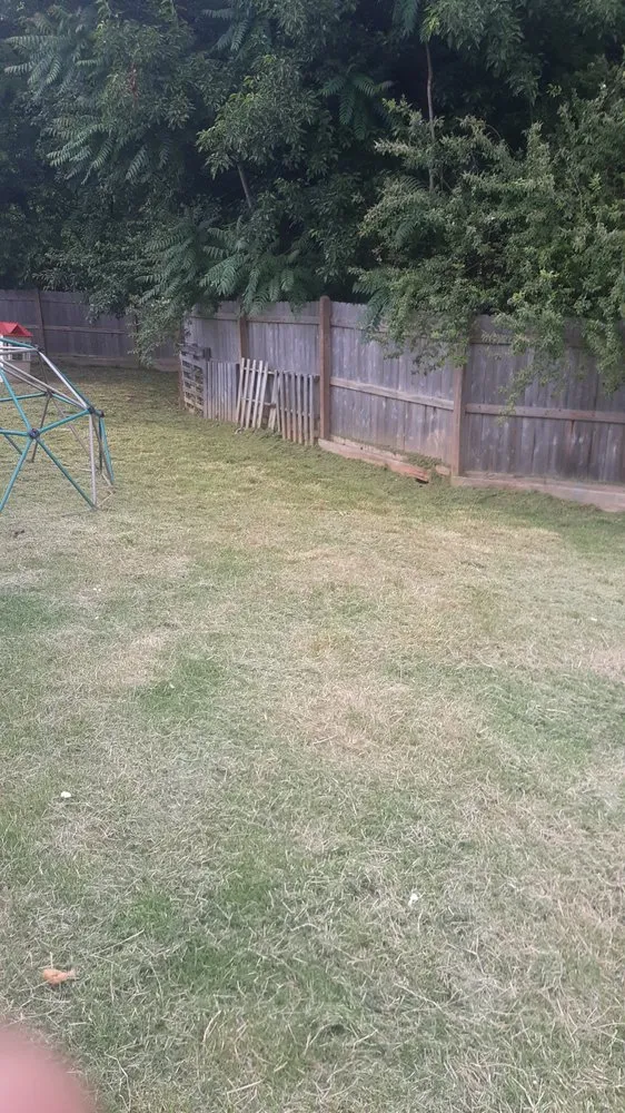 Top-rated lawn care service experts serving Ruffin, NC - Withers and Associates Maintenance