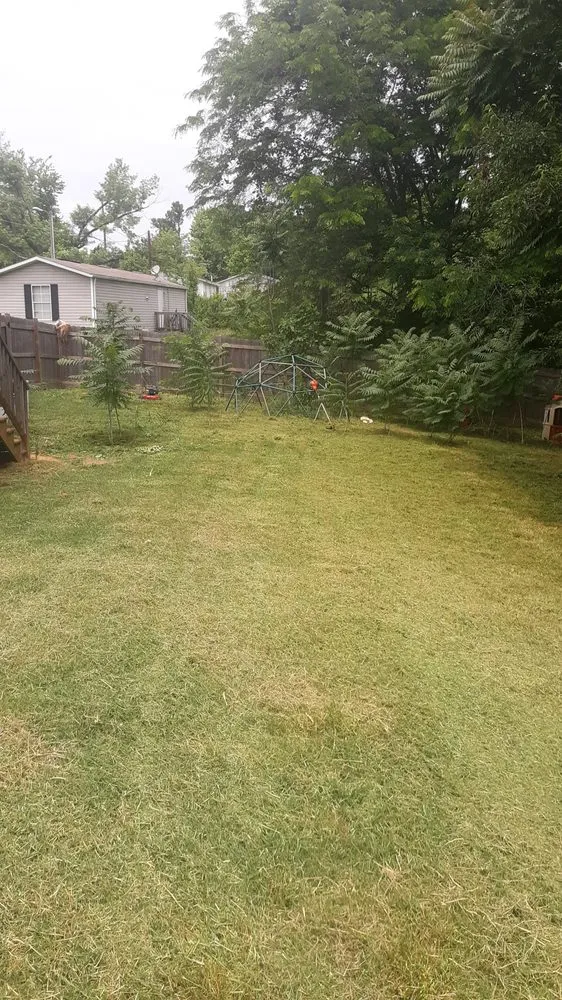 Trusted garden landscaping experts serving Ruffin, NC - Withers and Associates Maintenance