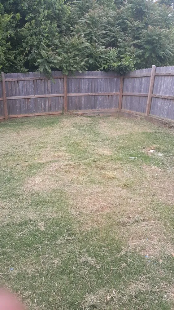 Professional outdoor landscaping experts serving Ruffin, NC - Withers and Associates Maintenance