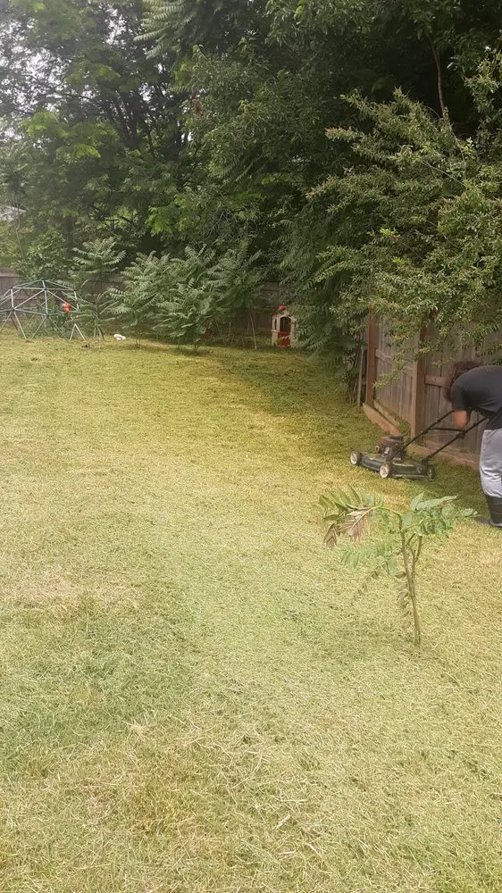 Professional yard maintenance experts serving Ruffin, NC - Withers and Associates Maintenance