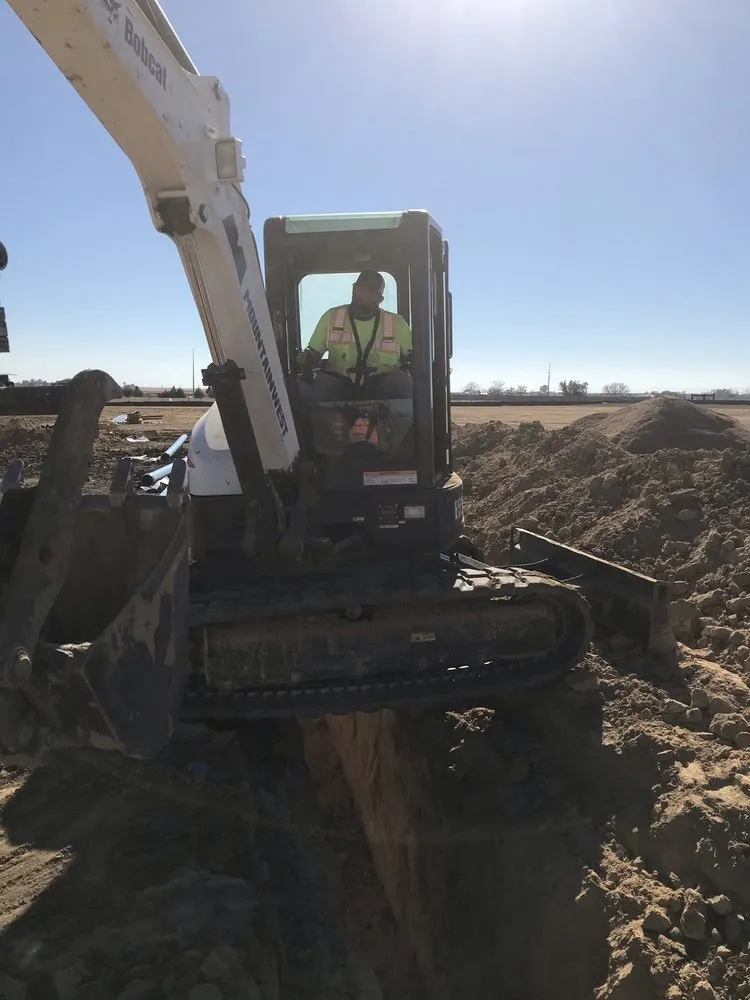 Affordable yard cleanup service with custom design across Windsor, CO - Within Reason