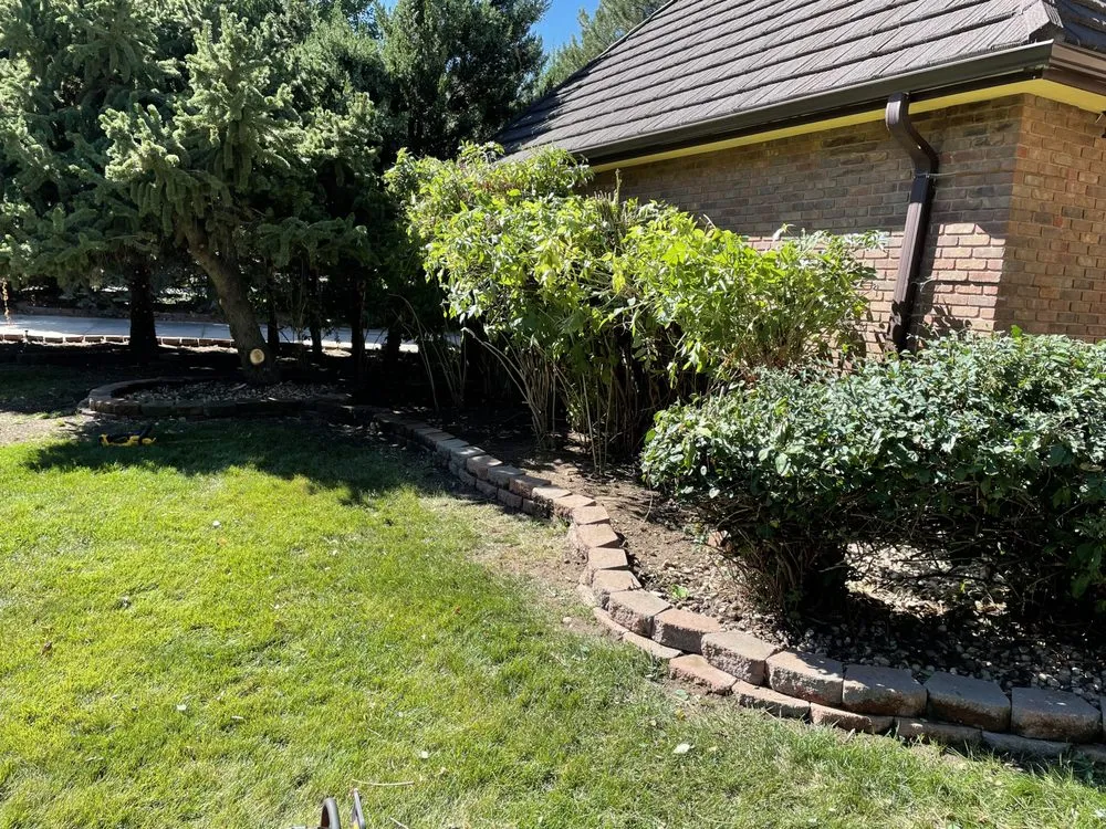 Local yard maintenance experts serving Windsor, CO - Within Reason