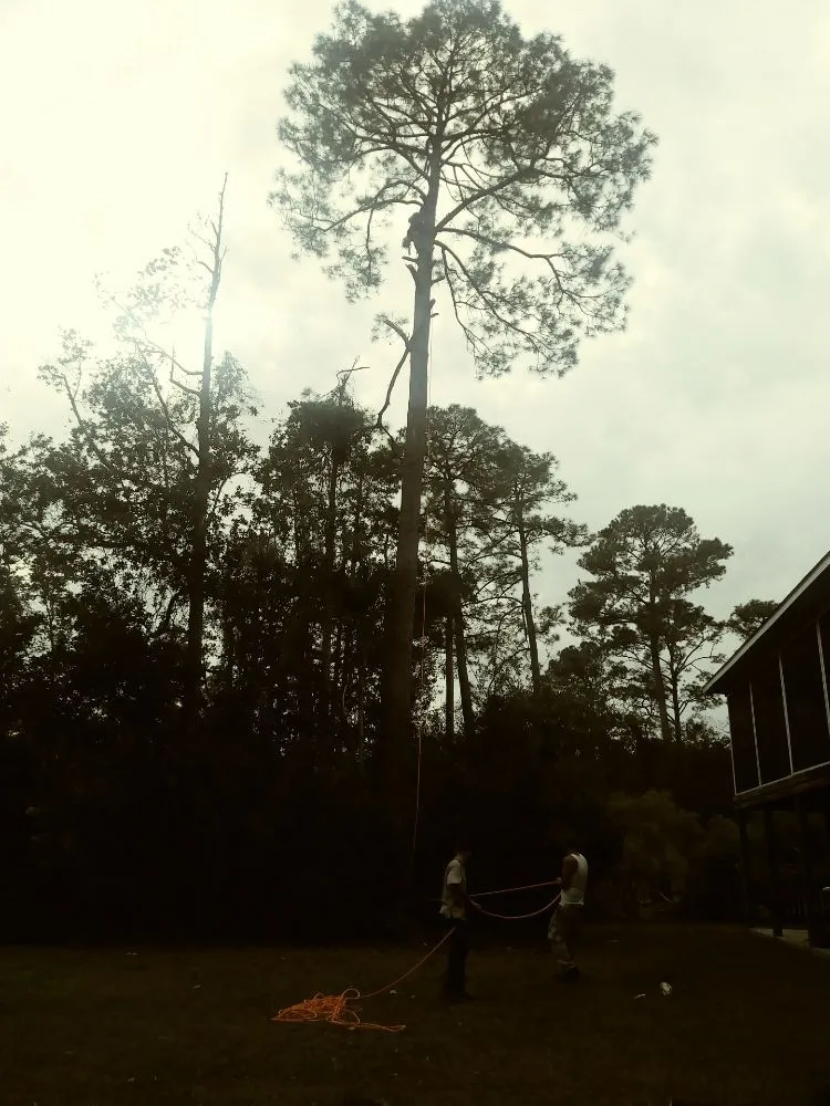 Custom garden landscaping near you across Kingsland, GA - Without Compare Lawn & Tree Care