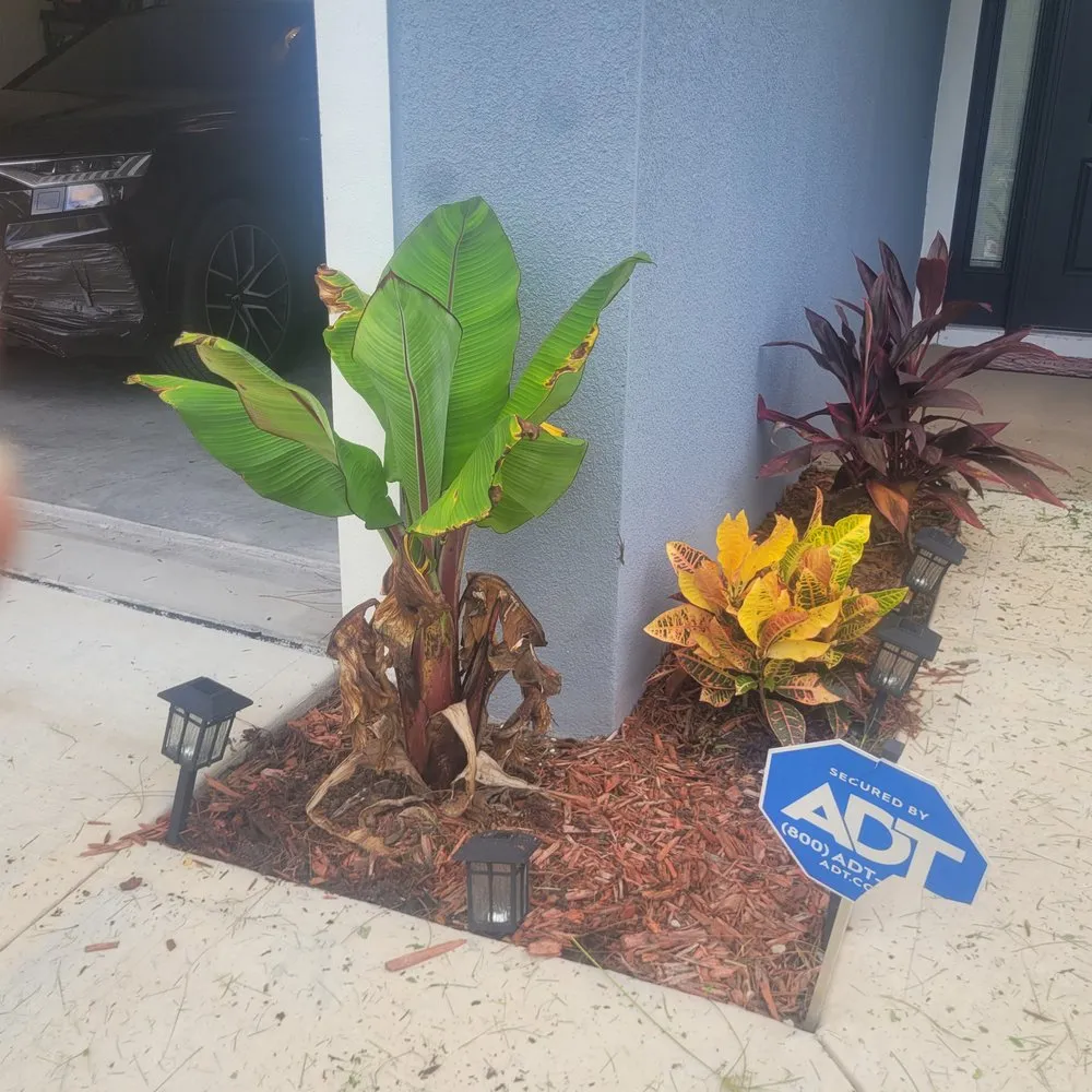 Expert landscaping services in Palm Bay, FL - Withrow's Lawn Tree