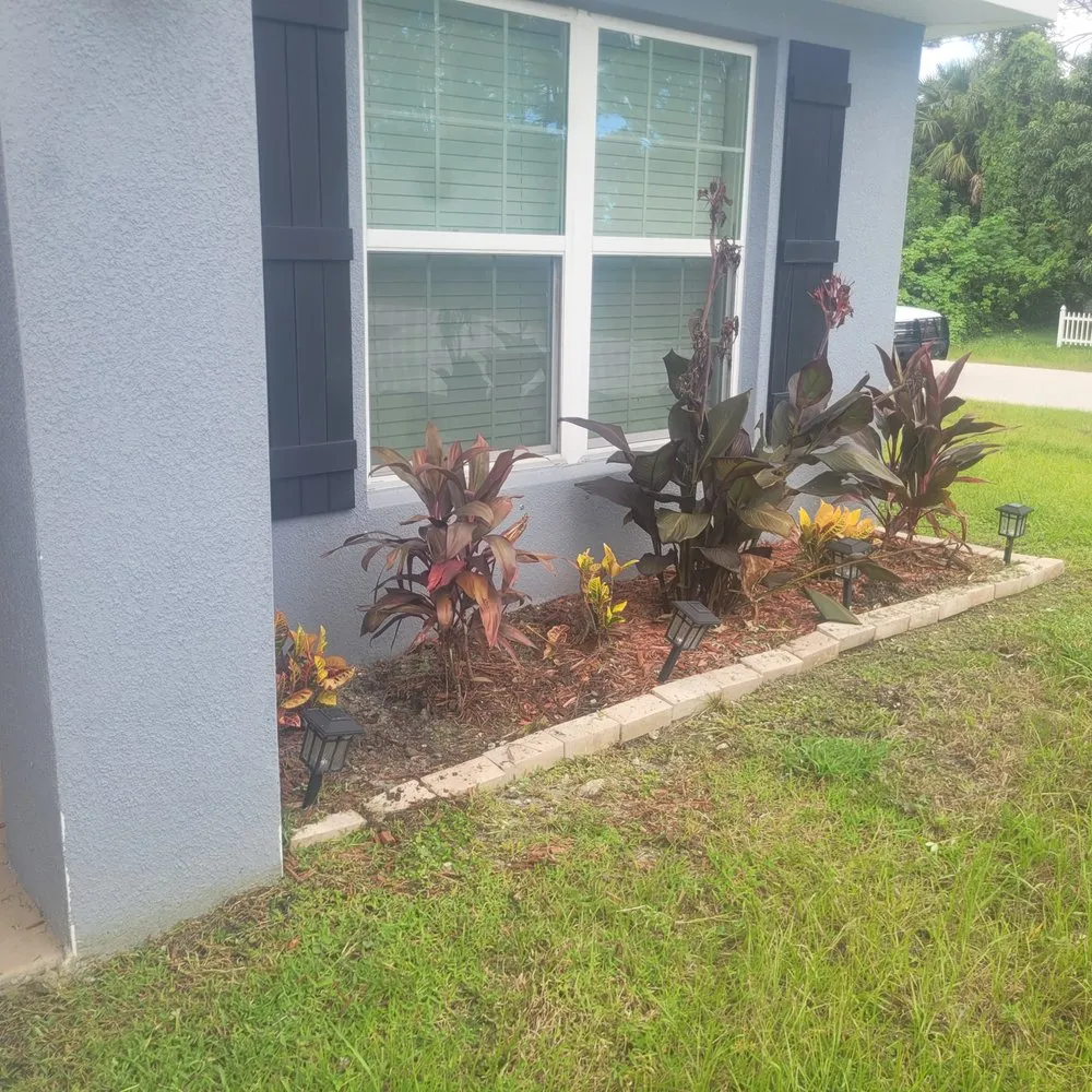 Trusted lawn care service in Palm Bay, FL by Withrow's Lawn Tree