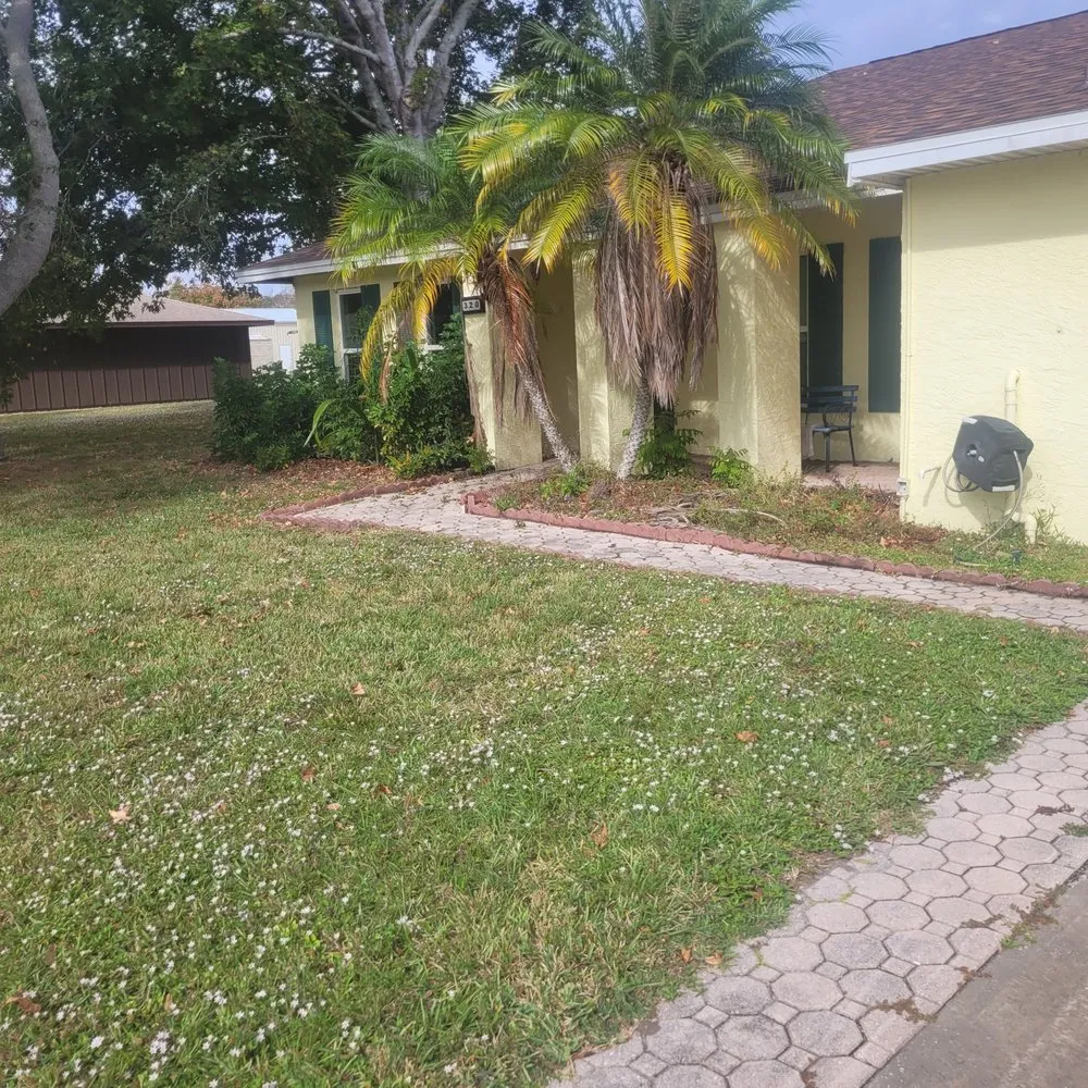 Custom lawn care service for beautiful yards across Palm Bay, FL - Withrow's Lawn Tree