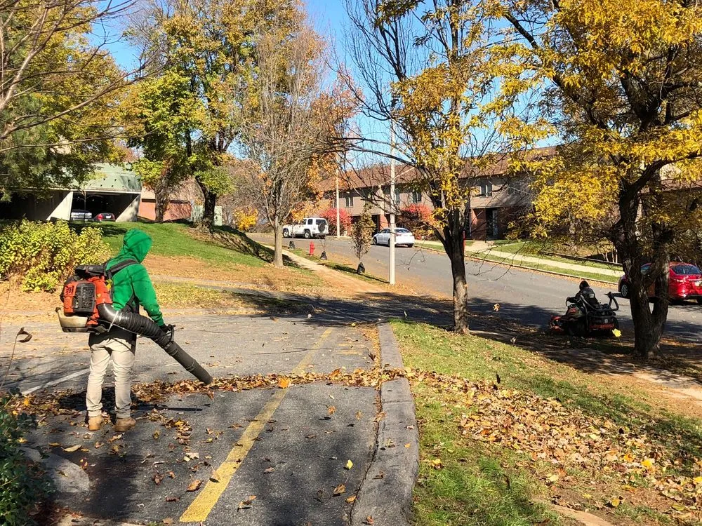 Reliable lawn care service for year-round maintenance in Holyoke, MA by Witman Properties Landscaping