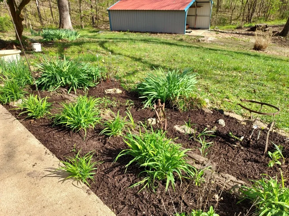 Reliable lawn care service in Mammoth Spring, AR by Wit's End Outside Services