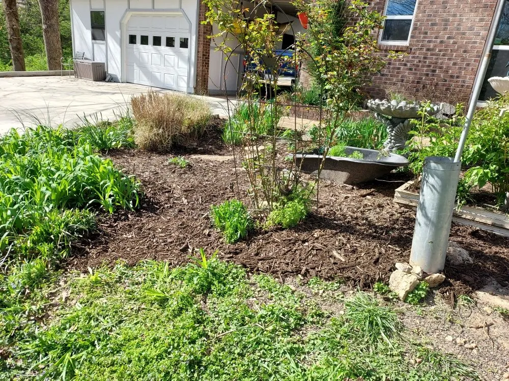 Top-rated landscape installation in Mammoth Spring, AR by Wit's End Outside Services