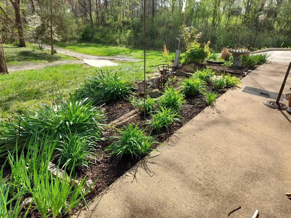 Professional landscaping services experts serving Mammoth Spring, AR - Wit's End Outside Services