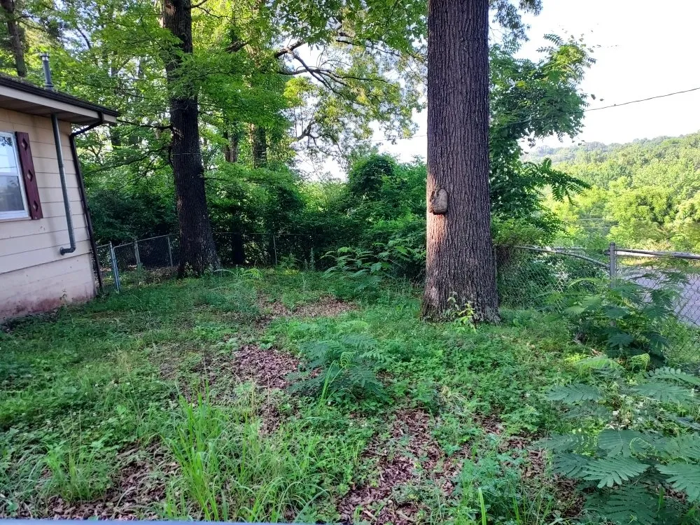 Professional residential landscaping near you across Mammoth Spring, AR - Wit's End Outside Services