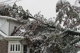 Custom yard maintenance experts serving Fortville, IN - Witsken Landscaping & Nursery