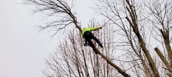 Witsken Landscaping & Nursery