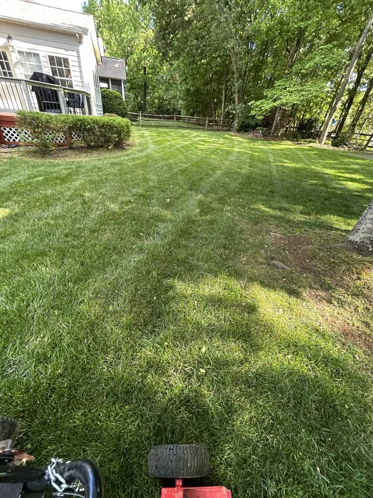 Custom lawn care service for residential properties across Waxhaw, NC - Witt Outdoor Services