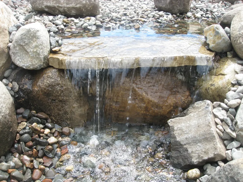 Expert yard cleanup service for year-round maintenance across Buffalo, MN - Witts End Landscaping