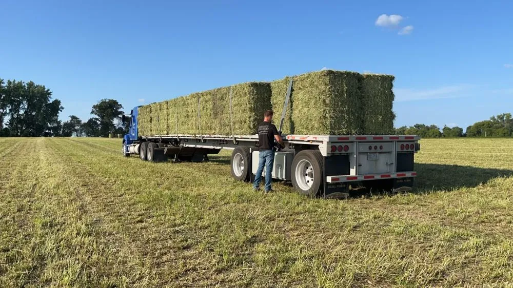 Reliable yard maintenance near you across Isanti, MN - Witucki Services